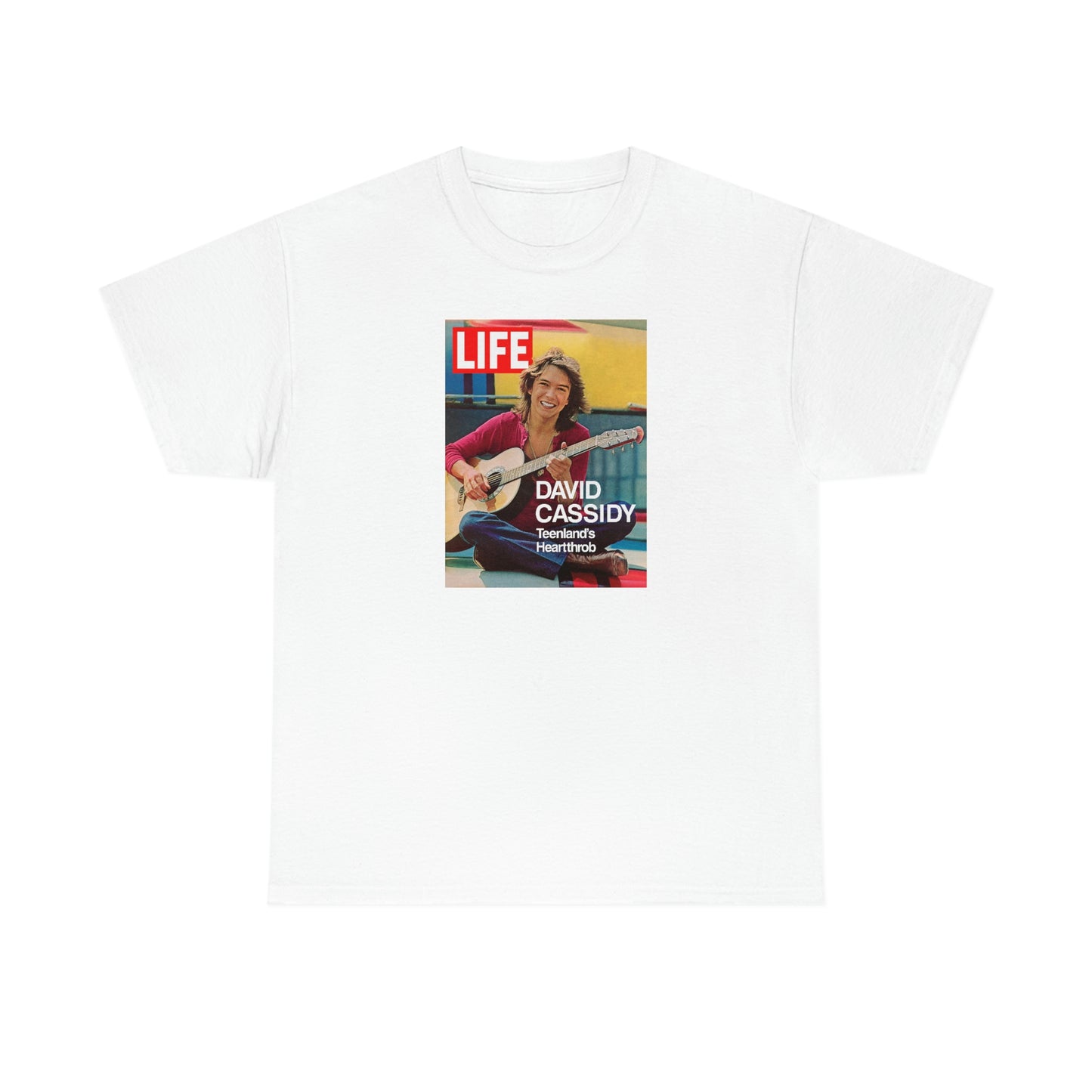 David Cassidy T-Shirt