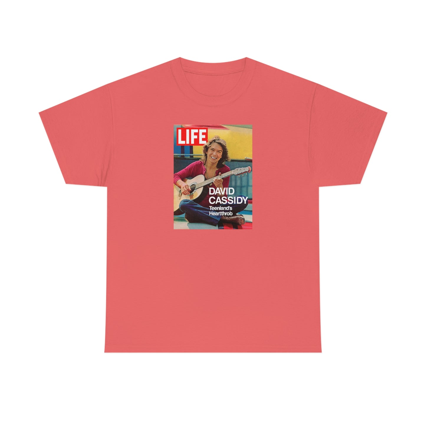 David Cassidy T-Shirt